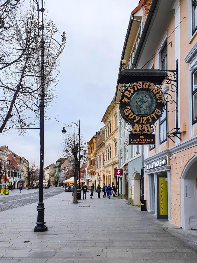 Studio Bufnita - The Owl'S Nest Sibiu Exterior foto