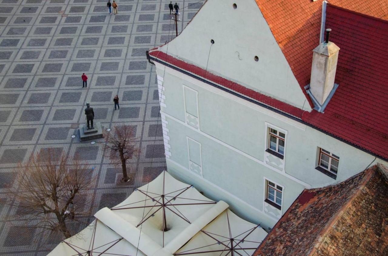 Studio Bufnita - The Owl'S Nest Sibiu Exterior foto